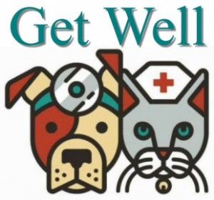 a get well  greeting